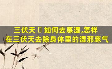 三伏天 ☘ 如何去寒湿,怎样在三伏天去除身体里的湿邪寒气